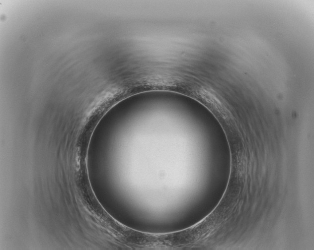 X0000088610731200706011227