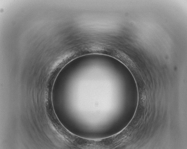 X0000088610732200706011227