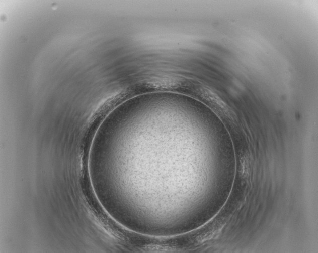 X0000088610733200706011227