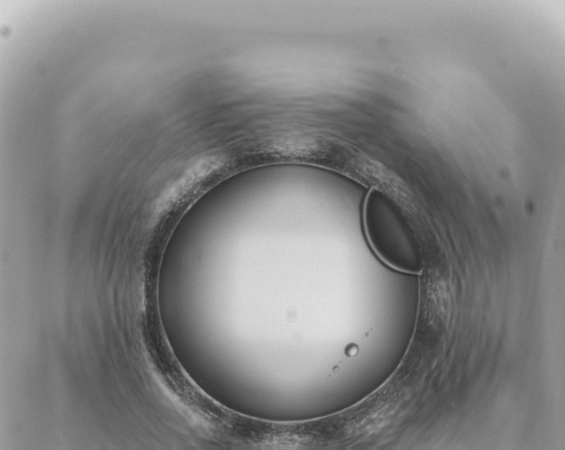 X0000088610734200706011227