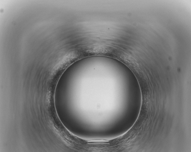 X0000088610735200706011227