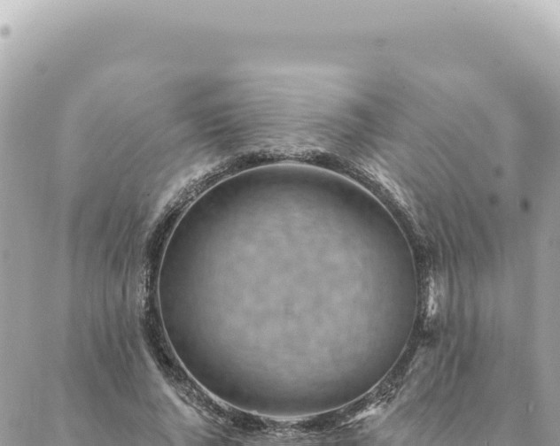 X0000088610736200706011227