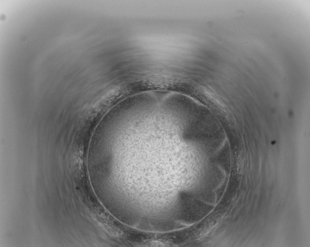 X0000088610737200706011227