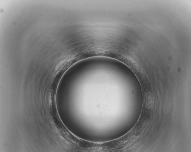 X0000088610740200706011227