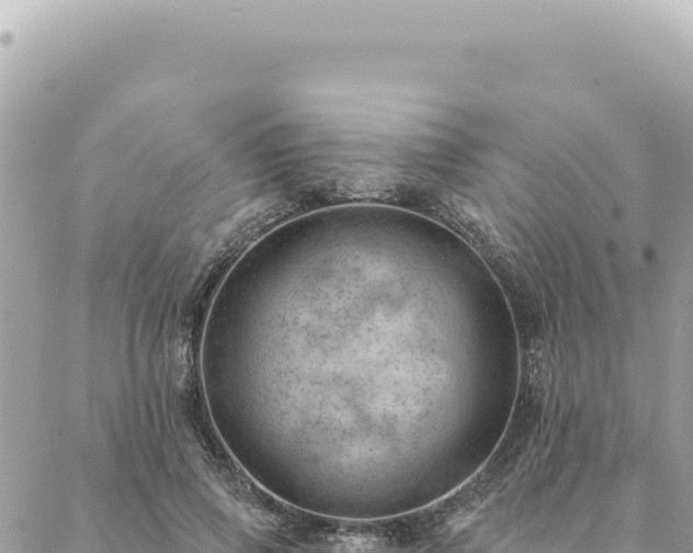 X0000088610741200706011227