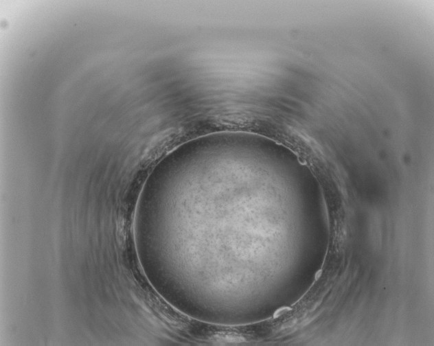 X0000088610749200706011227