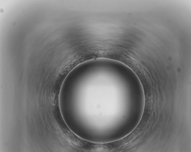 X0000088610750200706011227