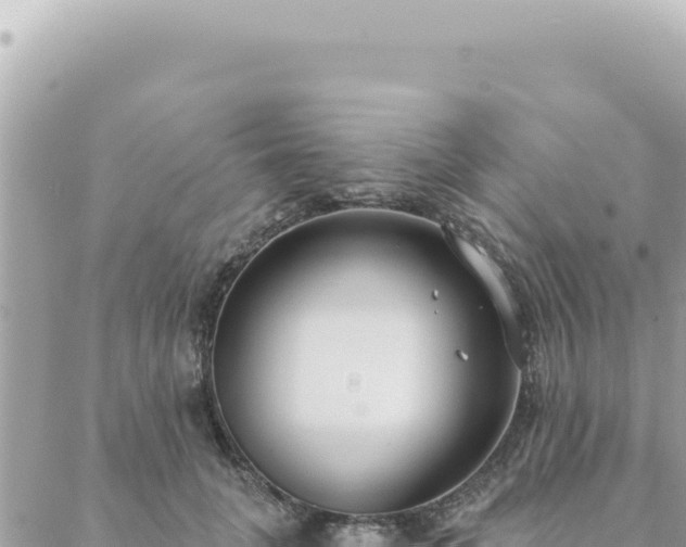 X0000088610751200706011227