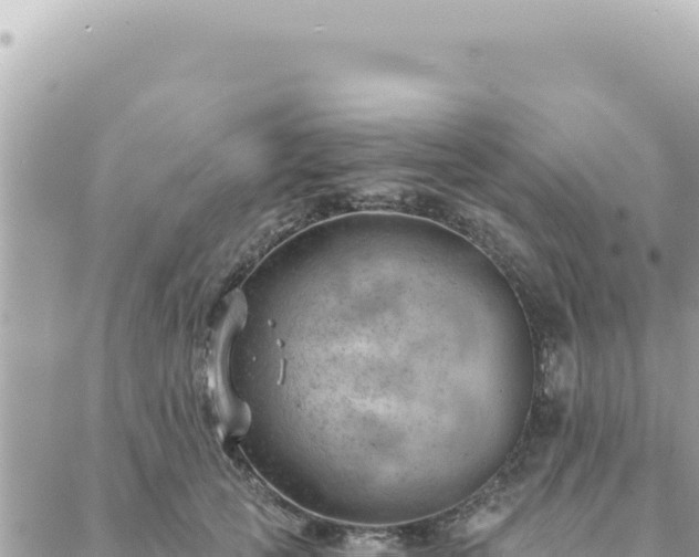 X0000088610753200706011227