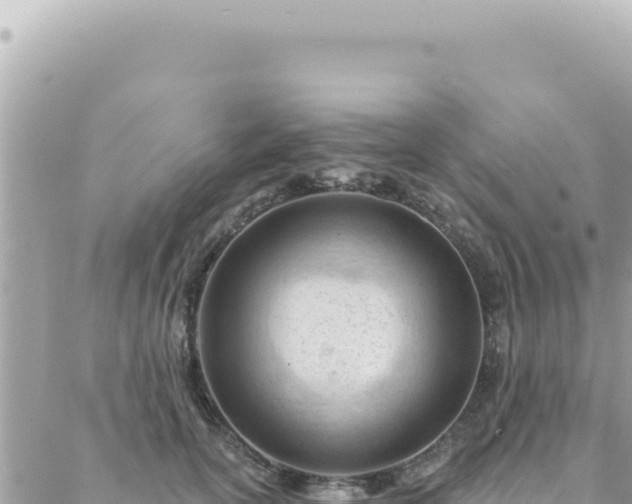 X0000088610754200706011227