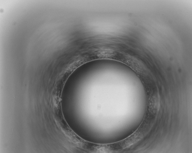 X0000088610755200706011227