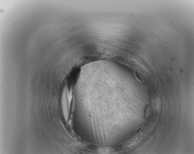 X0000088610757200706011227