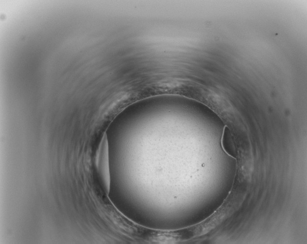 X0000088610758200706011227