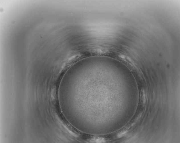 X0000088610760200706011227