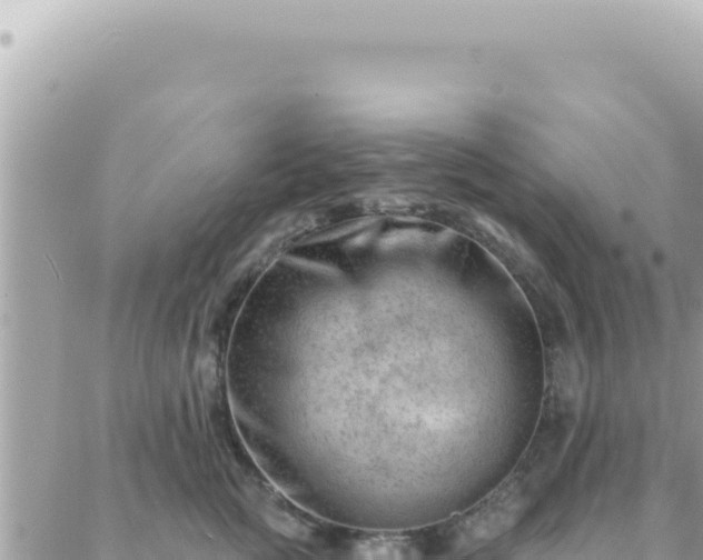 X0000088610761200706011227