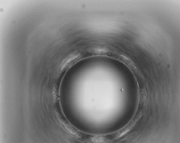 X0000088610762200706011227