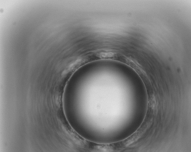 X0000088610763200706011227