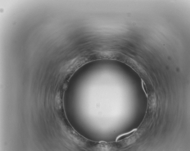 X0000088610764200706011227