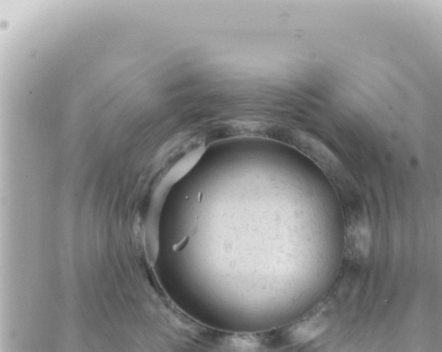 X0000088610765200706011227