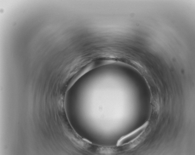 X0000088610766200706011227