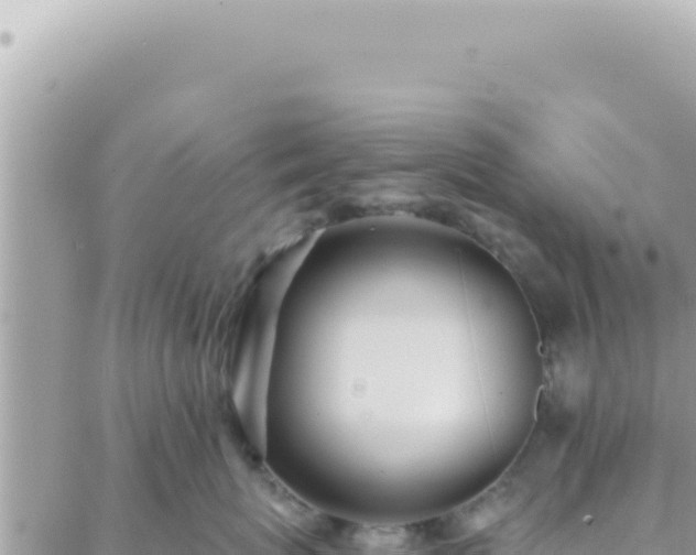 X0000088610767200706011227