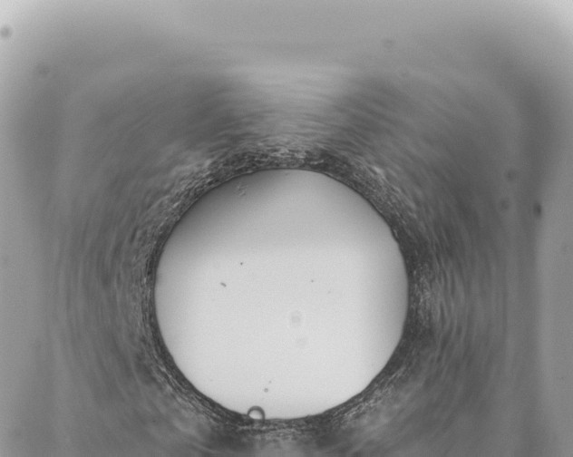 X0000088610769200706011227