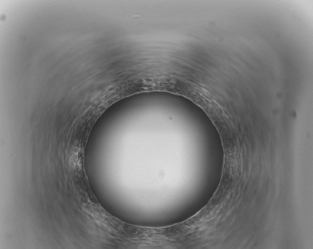 X0000088610770200706011227