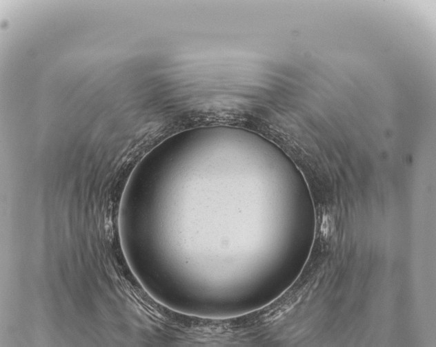 X0000088610771200706011227