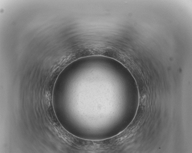 X0000088610772200706011227