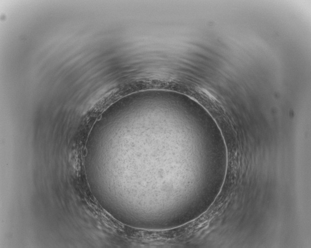 X0000088610774200706011226