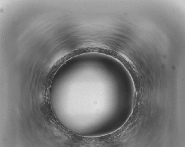 X0000088610775200706011226