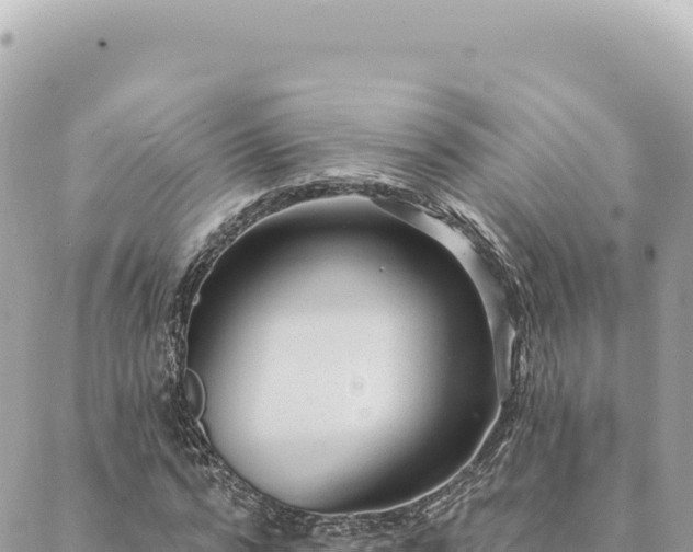 X0000088610776200706011226