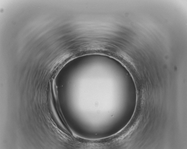 X0000088610777200706011226