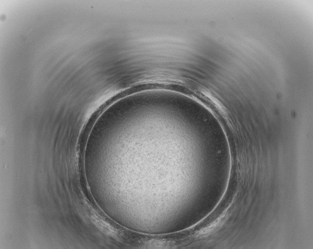 X0000088610779200706011226