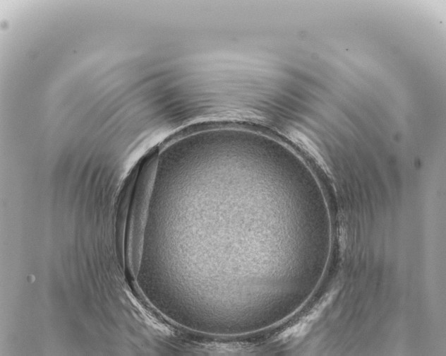 X0000088610781200706011226