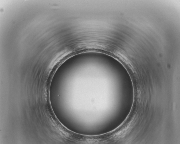 X0000088610782200706011226