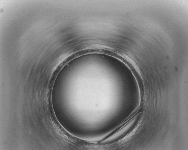 X0000088610783200706011226