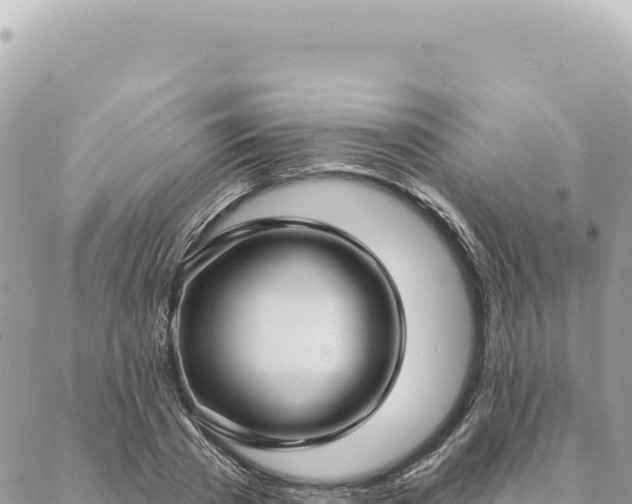 X0000088610785200706011226