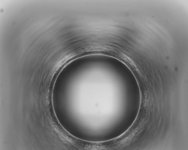 X0000088610786200706011226