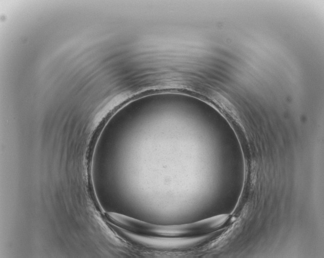 X0000088610789200706011226