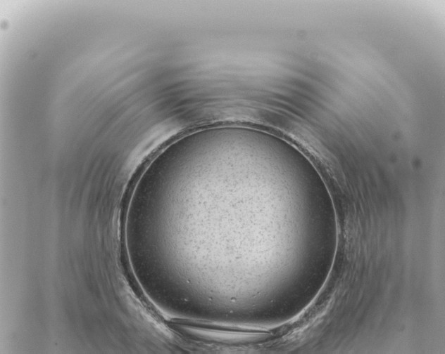 X0000088610790200706011226