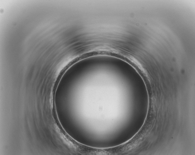 X0000088610791200706011226