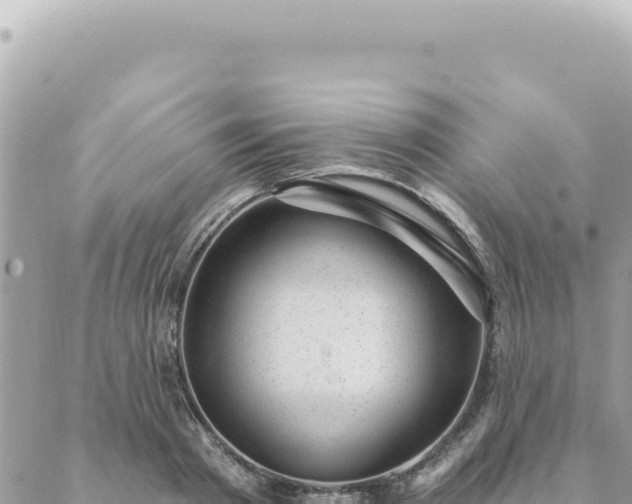 X0000088610793200706011226