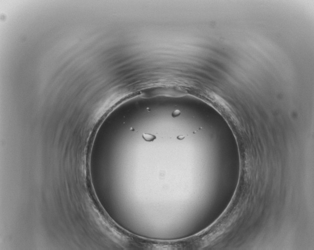 X0000088610794200706011226