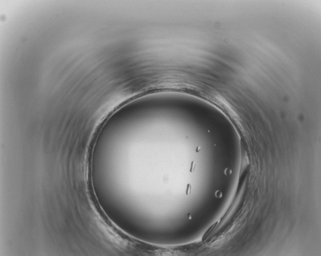 X0000088610795200706011226