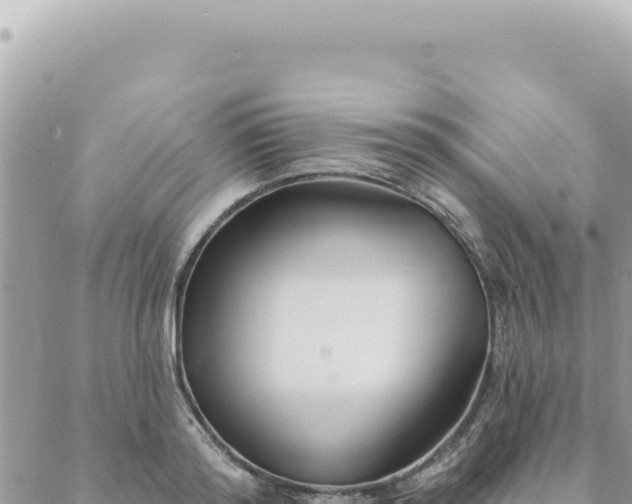 X0000088610796200706011226