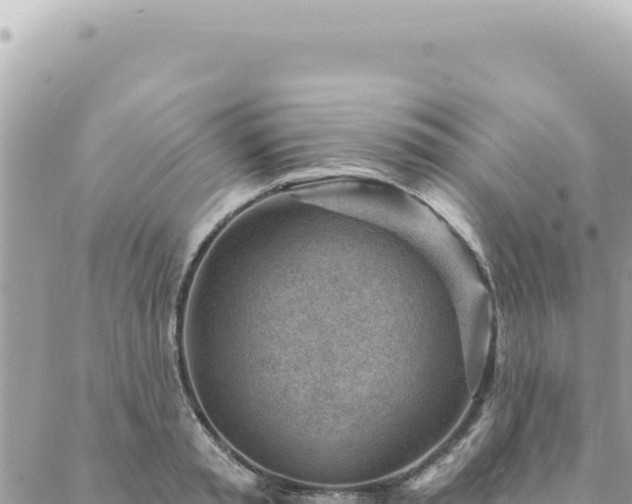 X0000088610797200706011226