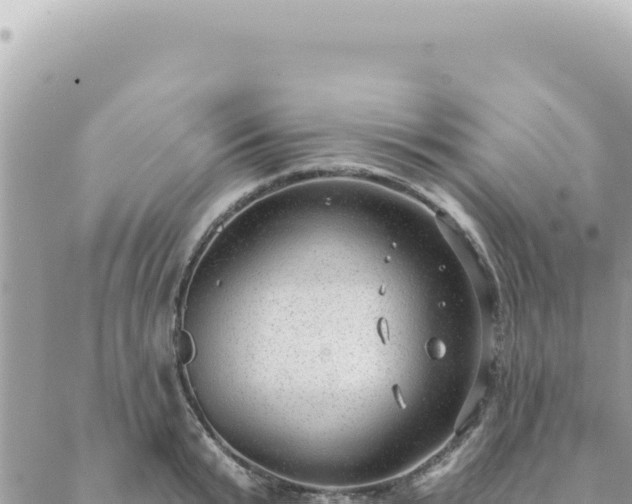 X0000088610799200706011226