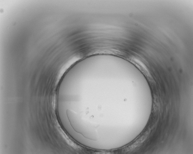 X0000088610804200706011226