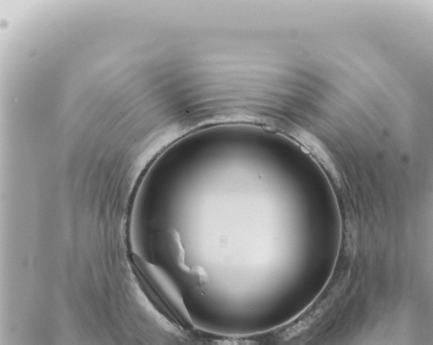 X0000088610805200706011226